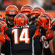Illustration for article titled emHard Knocks: /ememTraining Camp With The Cincinnati Bengals/em